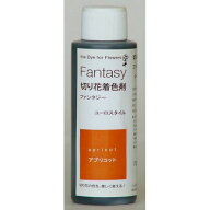 パレス化学/ファンタジー 100ml アプリコット/1520214【01】 花資材・フローリスト道具 生け花・生花 道…