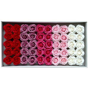 yΖӃZ[zy\[vt[zHillTop/[Y J[A\[gSM|04AS 50y01z vU[uht[ tOX\[vt[ \[vt[ԍ