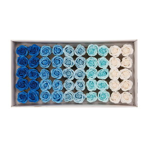 yΖӃZ[zy\[vt[zHillTop/SM|05AS 50y01z vU[uht[ tOX\[vt[ \[vt[ԍ