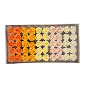 yΖӃZ[zy\[vt[zHillTop/[Y J[A\[gSM|06AS 50y01z vU[uht[ tOX\[vt[ \[vt[ԍ