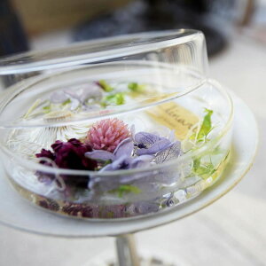 kinari/A}bNXTVFpKXe V[ LTCY/cg50-l-1y01z Lhޗ LhpOX