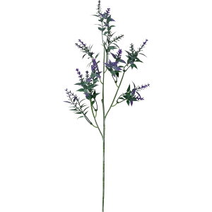 yԁzYDM/x_[Xv[ p[v/FF-2971-PUy01z ԁiA[eBtBVt[j  ԍށusv x_[