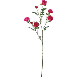 yԁzYDM/CObV[Yu` r[eB[/FA-7289-BTYy01z ԁiA[eBtBVt[j  ԍށu͍sv o