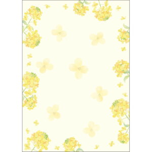 TTK/ap a ؂̉ 10/4-1031y01z[5] X܃fBXvCEX G [