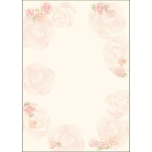 TTK/fUCy[p[t[ [W[ 10/4-3000y01z[5] X܃fBXvCEX G [