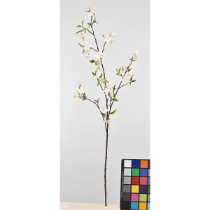 yԁzAXJ/yA[ubT×32 ڂ×10 #013 CgsN/A-33838-13y01z ԁiA[eBtBVt[j  ԍށu͍sv ̑u͍svԉԍ