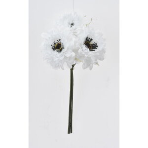 yԁzAXJ/Allo`(13{) #001 zCg/A-33847-1y01z ԁiA[eBtBVt[j  ԍށusv All