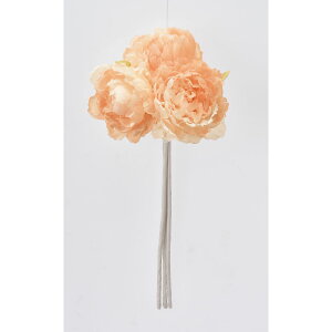 yԁzAXJ/sIj[o`(13{) #004 s[`/A-33863-4y01z ԁiA[eBtBVt[j  ԍށusv VNNi䉖jE{^iOjEsIj[