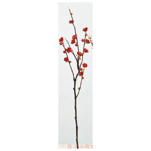 yԁzAXJ/~×8 ڂ×12 #002 bh/A-33867-2y01z ԁiA[eBtBVt[j  ԍށusv Ei~j