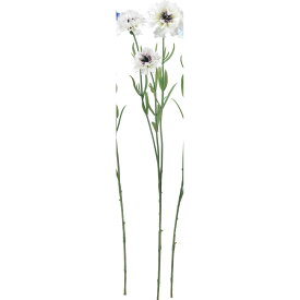 【造花】アスカ/コーンフラワー×3 #011 クリームホワイト/A-33907-11【01】【取寄】 造花（アーティフィシャルフラワー） 造花 「か行」 コーンフラワー