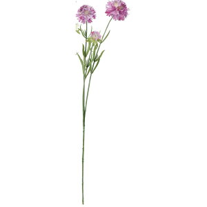 yԁzAXJ/XJrIT×3 #017 CbN/A-33908-17y01z ԁiA[eBtBVt[j  ԍށusv XJrIT