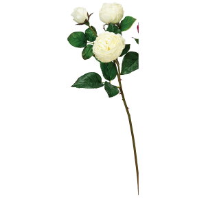 yԁzAXJ/[Y×3 #001 zCg/A-33928-1y01z ԁiA[eBtBVt[j  ԍށu͍sv o