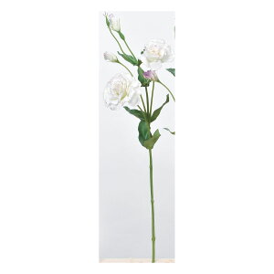 yԁzAXJ/gRMLE×2 ڂ×3 #001L zCgCbN/A-33973-1Ly01z ԁiA[eBtBVt[j  ԍށusv gRLLE