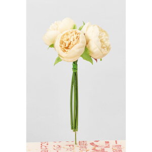 yԁzAXJ/sIj[o` #011 N[zCg/A-34016-11y01z ԁiA[eBtBVt[j  ԍށusv VNNi䉖jE{^iOjEsIj[