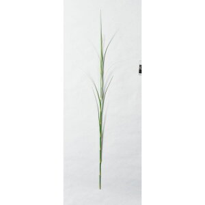 yzyԁzAXJ/[tXe #052B CgO[/A-43429-52B ԕiEELZsy01z ԁiA[eBtBVt[j ԗtAtFCNO[ ̑̑