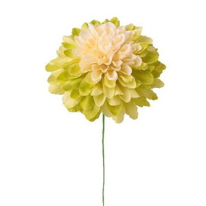 yԁzp/{[}sbN 4{ O[N[/P-5058-62y07z ԁiA[eBtBVt[j  ԍށusv LNiejEs|}