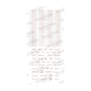 cL/R Elegant Line VpsN iWFpj/SG-NYM-111y08z |pi Ntg  ޗ lCA[g