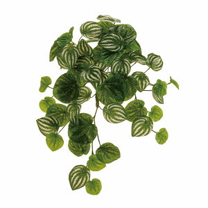 yԁzMAGIQ/yy~AJy[^oC/FG008707y01z ԁiA[eBtBVt[j ԗtAtFCNO[ ̑̑ԗtEtFCNO[