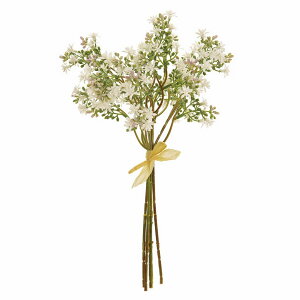 yԁzMAGIQ/ut[oh 5{ WH.LV/FM001259y01z ԁiA[eBtBVt[j  ԍށusv ݑ