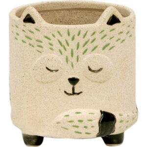 yΖӃZ[z勴VX/|g[Aj} ^kLL/50-611y01z[6] ԊA[X ԊEԕr Ԋ