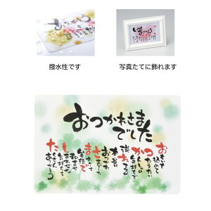 GREENHOUSE/Ƃ̂ق|GJ[h ꂳ܂ł/4568y01z[10] bsOpi A bZ[WJ[h O[eBOJ[h