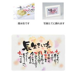 GREENHOUSE/Ƃ̂ق|GJ[h Ă/4569y01z[10] bsOpi A bZ[WJ[h O[eBOJ[h