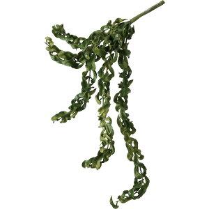 yԁzYDM/GXLiTXnK[ GR/GL -5261-GRy01z ԁiA[eBtBVt[j ԗtAtFCNO[ ̑̑ԗtEtFCNO[