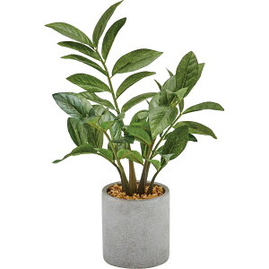 �y�l�H�ϗt�A���zYDM/�U�~�t�H���A�Z�����g�|�b�g GR/GLA-1520-GR�y07�z ���ԁi�A�[�e�B�t�B�V�����t�����[�j ���ԗt�� ���ԁE�l�H�ϗt�A�� ���|�b�g