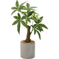 【人工観葉植物】YDM/パキラセメントポット GR/GLA-1522-GR【01】 造花 葉物 フェイクグリーン 人工観葉…