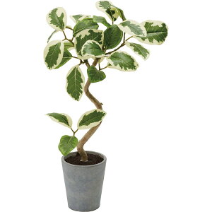 ylHϗtAzYDM/tBJXAeV}|bg W/G/GLA-1524-W/Gy01z ԁiA[eBtBVt[j ԗt ԁElHϗtA |bg