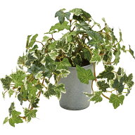 【人工観葉植物】YDM/イングリッシュアイビーポット GR/GLA-1527-GR【01】 造花 葉物 フェイクグリーン …