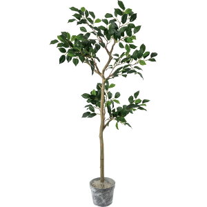 �y�����z�y�l�H�ϗt�A���zYDM/�W���C���g�x���W���~���c���[�Z�b�g GR/GLA-1514-GR ������ԕi�L�����Z���s�y01�z ���ԁi�A�[�e�B�t�B�V�����t�����[�j ���ԗt�� ���ԁE�l�H�ϗt�A�� �����`15