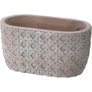 Aؔ  YDM/i`bVI[o/RFB-427y01z K[fjOE|pi t[|bg Zg