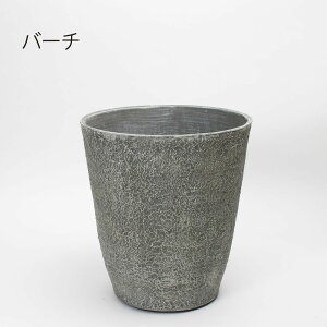 Aؔ  Bennyfs/v^[/BL-028BIy08z K[fjOE|pi t[|bg 