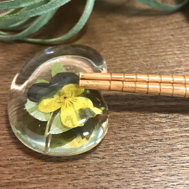 アクリルベース/ハーバリウム箸置き ソラマメ【01】 固まるハーバリウム アクリルベース 土台 レジンクラフト