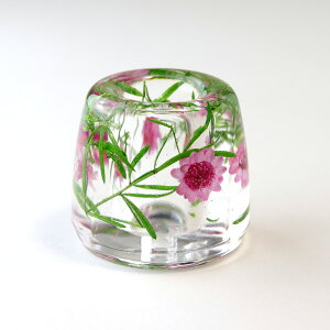 �A�N�����x�[�X/�n�[�o���E�����u���V���āE��ӗ��āE�y������ L�i��W�t���j�y01�z �ł܂�n�[�o���E�� �A�N�����x�[�X �y�� ���W���N���t�g