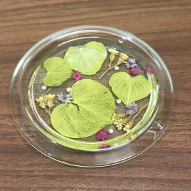 アクリルベース/ハーバリウムコースター サークル【01】 固まるハーバリウム アクリルベース 土台 レジンクラフト