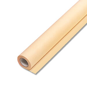 HEIKO/t[bv NOD20 EX_C_C/006777442y07z bsOpi A bsOy[p[() sDz