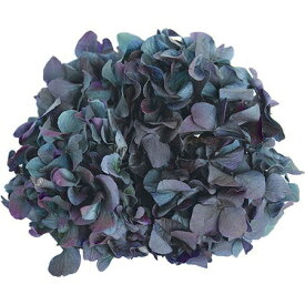 楽天市場 紫陽花の通販