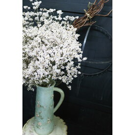 彩か/Antique ローズウッドピッチャー/PTA-167【07】【取寄】 花器、リース 花器・花瓶 陶器花器