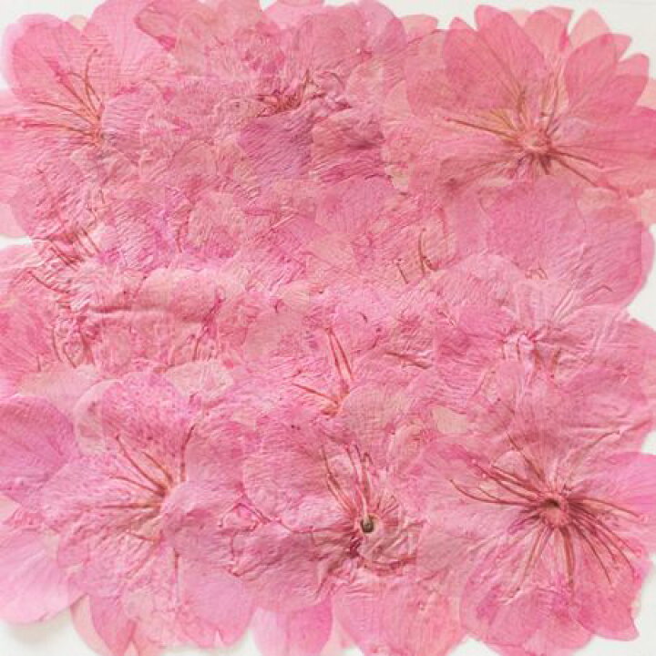 日限定07 ドライ 押し花 薔薇ブーケセット 1 006 ドライフラワー花材 最大94 オフ