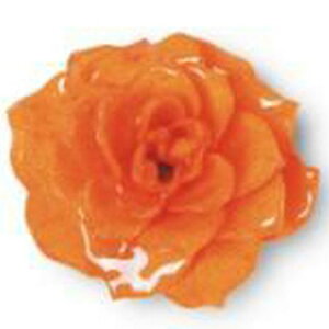 yhCz{KÑANZT[p[c ~joES 1 IW/HR03-HO-Sy07z hCt[ hCt[ԍ oi[Yj