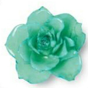 yhCz{KÑANZT[p[c ~joEM 1 O[/HR03-HG-My07z hCt[ hCt[ԍ oi[Yj