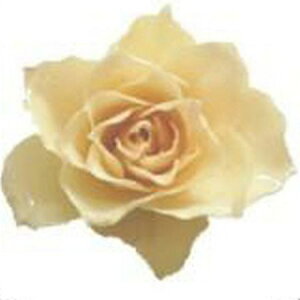 yhCz{KÑANZT[p[c ~joEM 1 AC{[/HR03-HW-My07z hCt[ hCt[ԍ oi[Yj