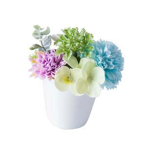   y\[vt[zYDM/T{AW ~g/FPN-0048y01z dp p  tďH~