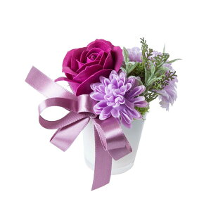   y\[vt[zYDM/T{AW fB[v/FPN-0049y01z dp p  tďH~