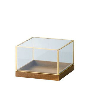 NC/Petit Jardin mini 15D510D5H GOLD/780-561-902y01z ԊA[X ԊEԕr h[AKXh[