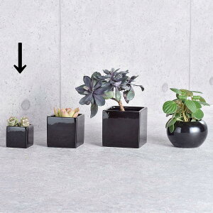 zr[/XNGAubNW6/SP-1233y01z[6] ԊA[X ԊEԕr Ԋ