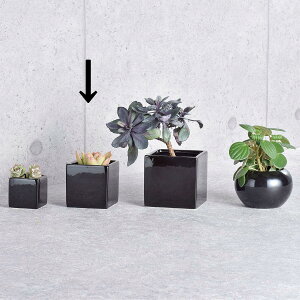 zr[/XNGAubNW8/SP-1234y01z[6] ԊA[X ԊEԕr Ԋ