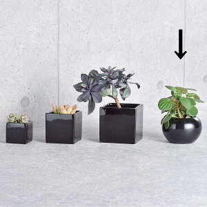 zr[/EhubNW11/SP-1236y01z[6] ԊA[X ԊEԕr Ԋ